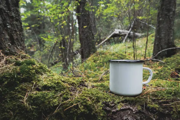 Photo of Enamel white mug in the mossy wood mockup. Trekking merchandise and camping geer marketing photo. Stock wildwood photo with white metal cup. Rustic scene, product mock up template. Lifestyle outdoors.