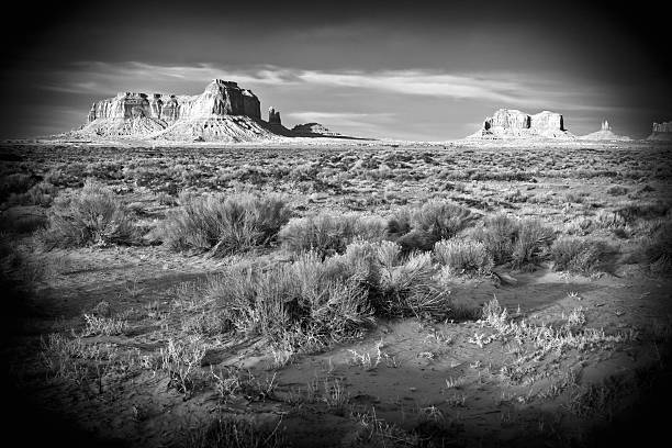 istock Monument Valley Rock Mesa in Black and White 136710540