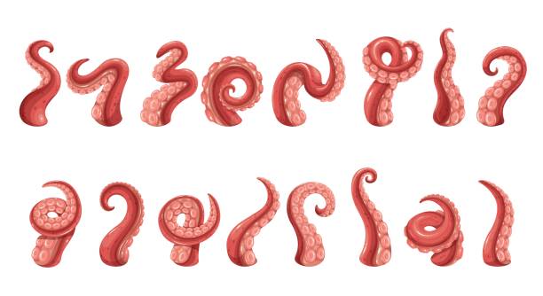 щупальца осьминога иконы - tentacle stock illustrations