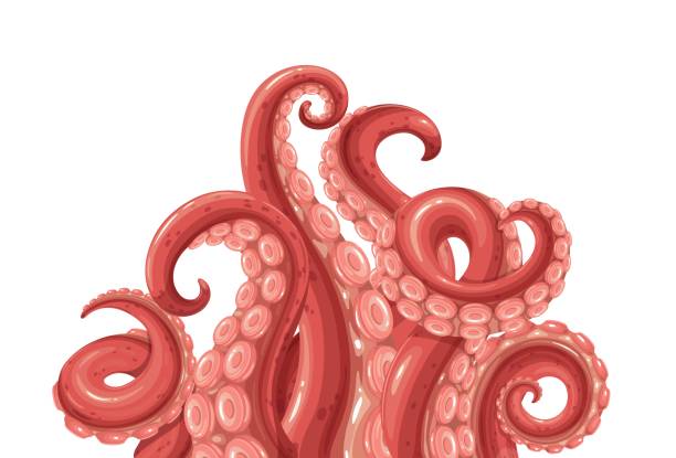 Octopus tentacles banner Octopus tentacles banner. Limbs of the sea monster kraken. Vector illustration of sea octopus twisted tentacles with sucker . tentacle stock illustrations