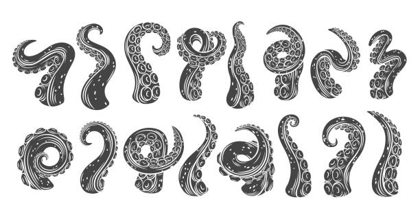 щупальца осьминога глиф иконки - tentacle stock illustrations