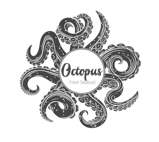 Octopus glyph tentacles banner Octopus glyph tentacles frame banner with empty space. Monochrome limbs of the sea monster kraken. Vector illustration of sea octopu tentacle stock illustrations
