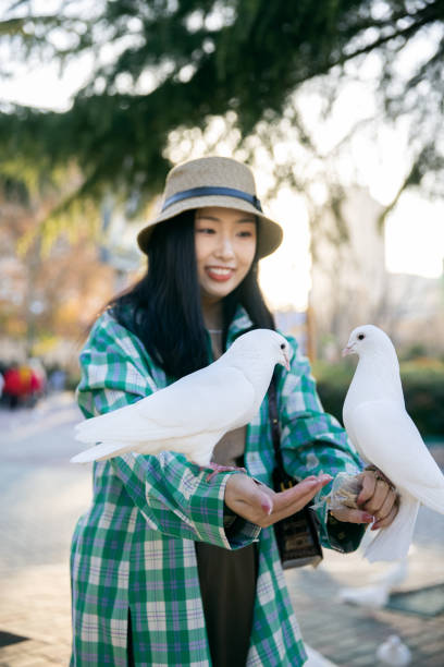 istock Young women feeding pigeon at sunset 1367108860