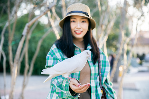 Young women feeding pigeon at sunset