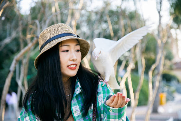 istock Young women feeding pigeon at sunset 1367108886
