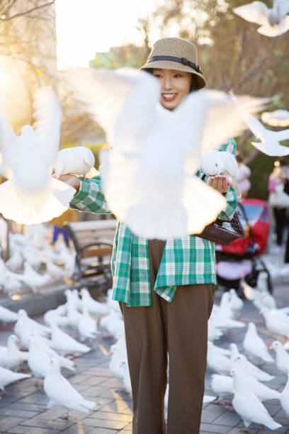 istock Young women feeding pigeons in park 1367109032