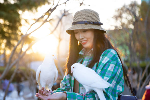 istock Young women feeding pigeons in park 1367109038