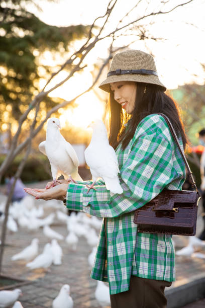 istock Young women feeding pigeons in park 1367109053