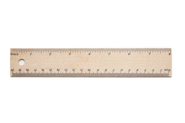 Ruler isolated cutout on white background. Wooden double rule twenty centimeter and eight inch long, draw, measurement scale instrument.