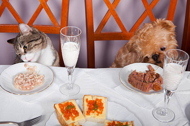 istock Banquet for the animals 136711612