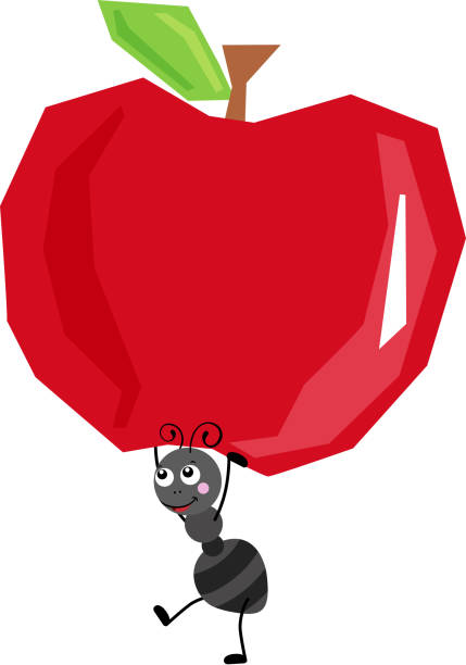 Cute Ant Carrying A Funny Red Apple Stock Illustration - Download Image Now  - Animal, Animal Antenna, Ant - iStock