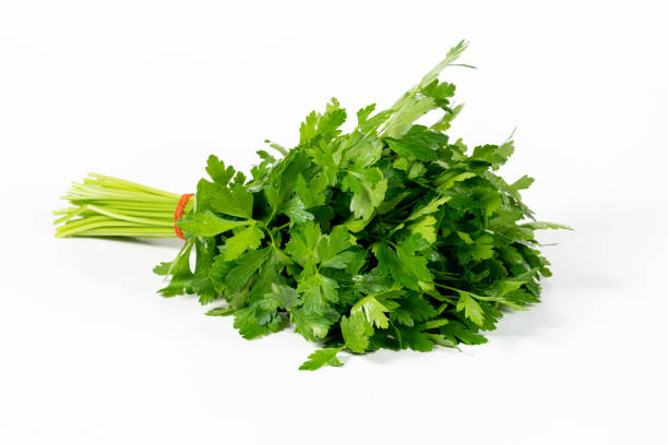 bunch of freshly picked parsley on an isolated white background - coentro imagens e fotografias de stock