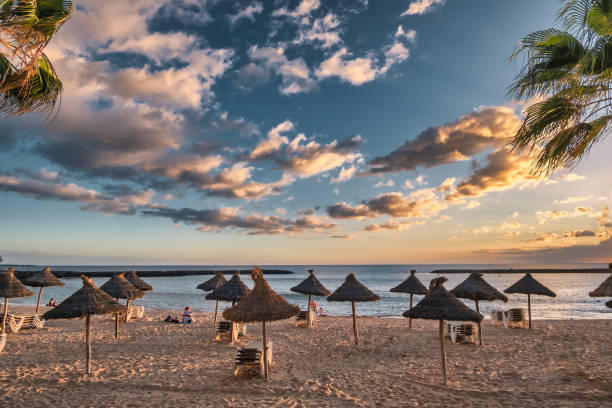 playa con sombrillas paya los americas en tenerife, españa - paya fotografías e imágenes de stock