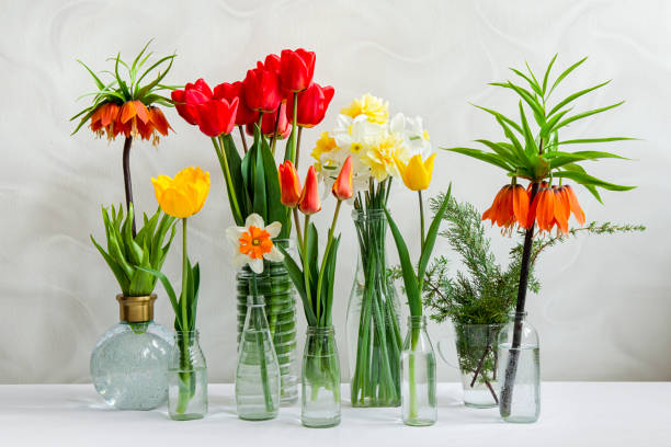 Different spring flowers in transparent vases on the table.