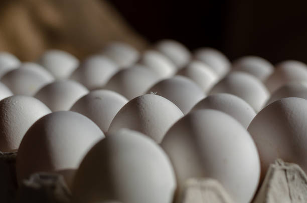 istock Defocus, blur, noise, grain effect. Close-up of a tray with whit 1367125016