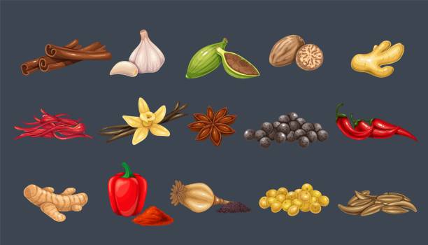 Culinary spices and condiments Culinary spices and condiments. Peppercorns, bay leaf, cardamom, chili, cumin, garlic, ginger and mustard. Oregano, thyme, turmeric, saffron threads, star anice, marjoram, nutmeg, anice and poppy spicery stock illustrations