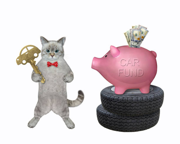 istock Cat ashen saves money for car 1367127302