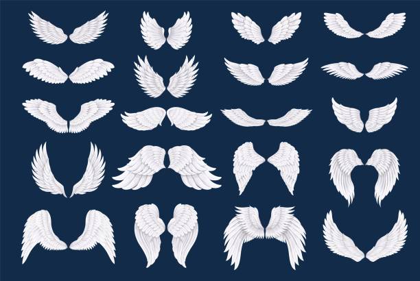 ÐÑÐ½Ð¾Ð²Ð½ÑÐ µ RGB White bird or angel wings, vector illustration. wings tattoos stock illustrations