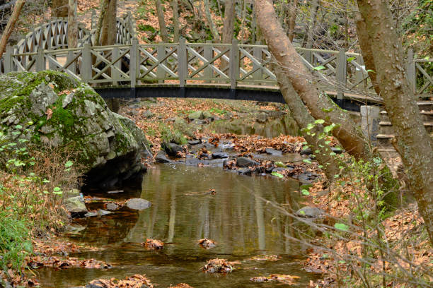 istock Bridge made of wooden material. 1367129692