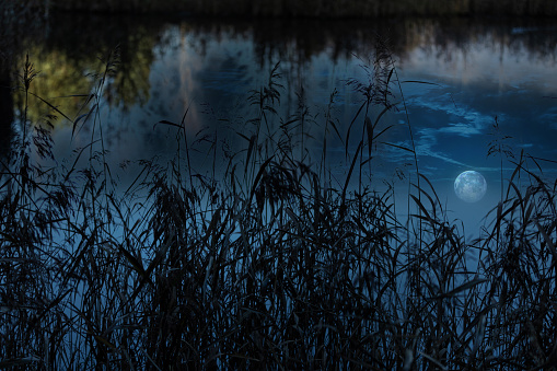 Nighttime photography with full moon reflection in lake