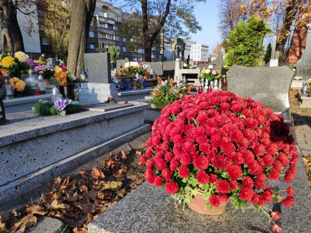 istock Cemetery chrysantemum flowers in Poland 1367132649