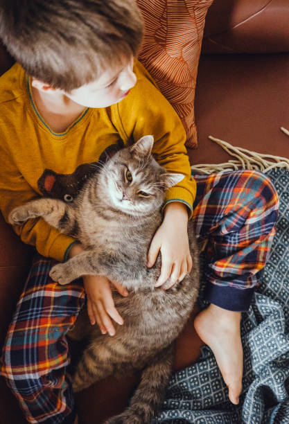 istock Kid portrait with cat at home 1367133062