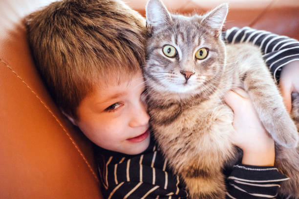 istock Kid portrait with cat at home 1367133065