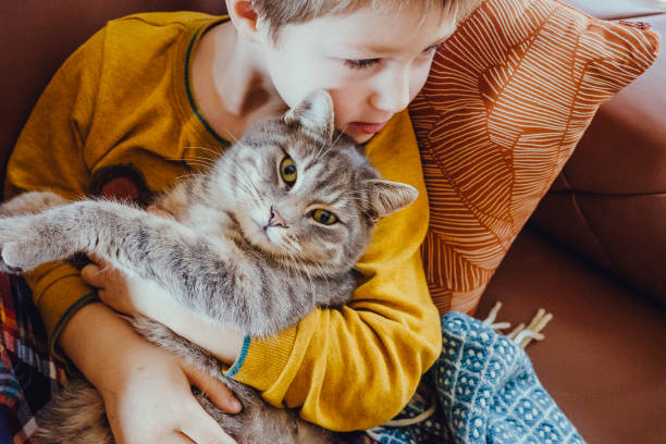 istock Kid portrait with cat at home 1367133150
