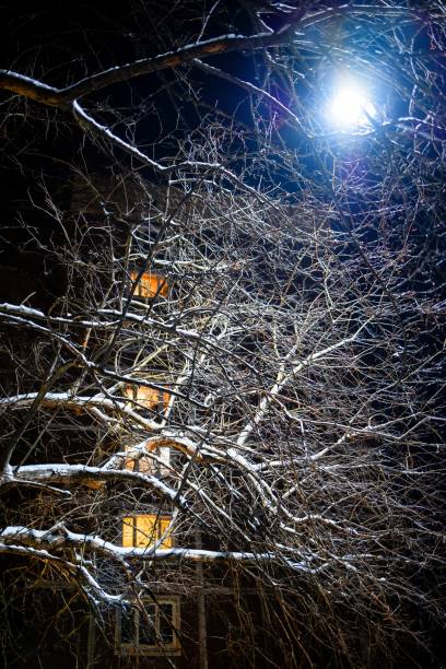 inverno na cidade. uma árvore de inverno gelada coberta de neve sob a luz de uma lâmpada de rua. prédio residencial com luzes quentes nas janelas ao fundo. - heat snow urban scene creativity - fotografias e filmes do acervo