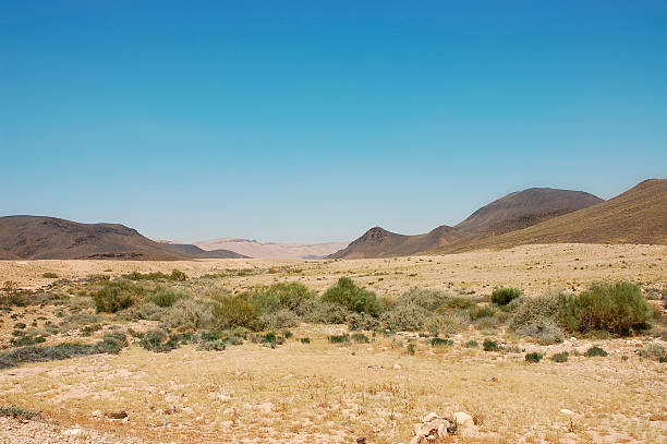 istock Crater Ramon in Negev desert. 136714003
