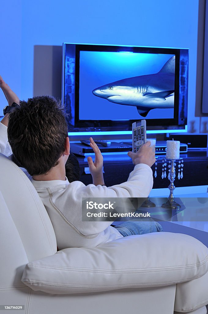 Watching Documentary Watching Documentary Stock Photo - Download Image Now - Audience ...