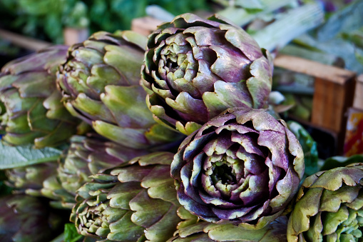 Bunch of fresh artichoke on traditional food market stall in Bologna, Italy