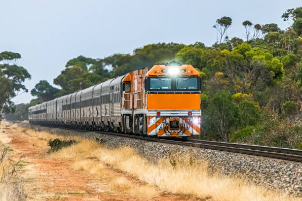istock Overland Luxury Passenger Train passing through tree-lined rural countryside on overcast morning 1367141165