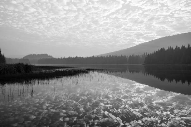 Soft snow cloud formation of one cloud over water. Beautiful landscape tranquil gray winter scene. First day of the new year in Jarfalla Sweden before the snow came.