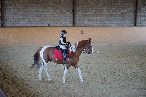 Boy riding horse in arena. Training sport. Child training