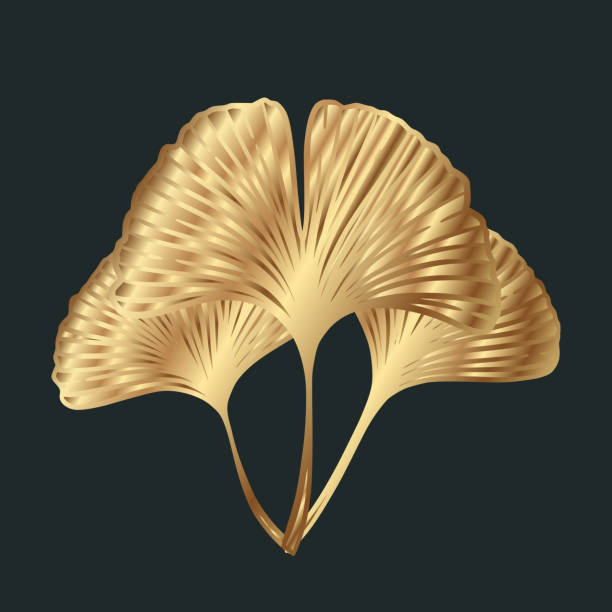 istock Ginkgo biloba golden leaves over black 1367144331