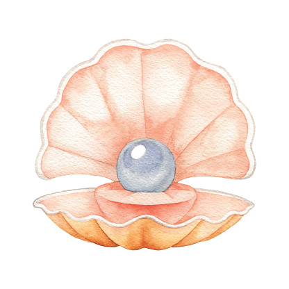 Watercolor Pearl in Shell