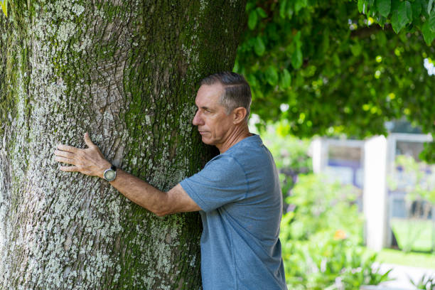 istock Man Hugs a Tree as a Treatment for Anxiety 1367145673