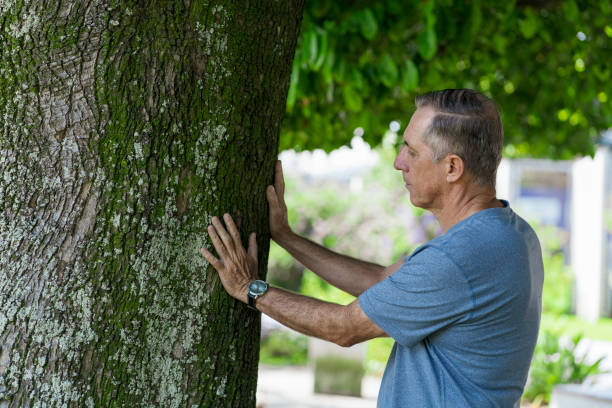 istock Man Hugs a Tree as a Treatment for Anxiety 1367145727