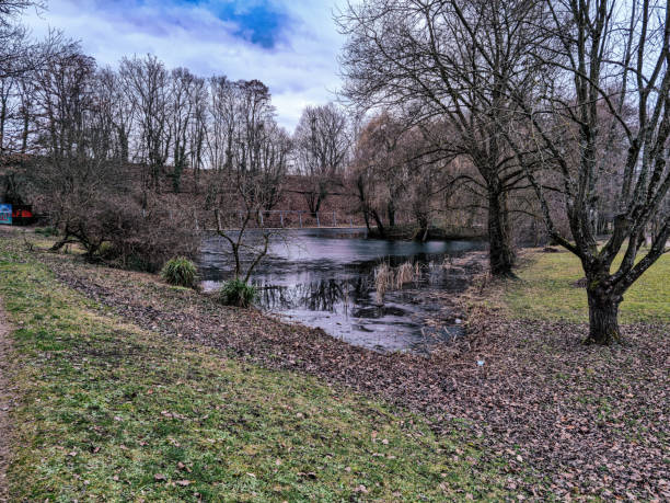 istock Lake duck pond frozen 1367145736