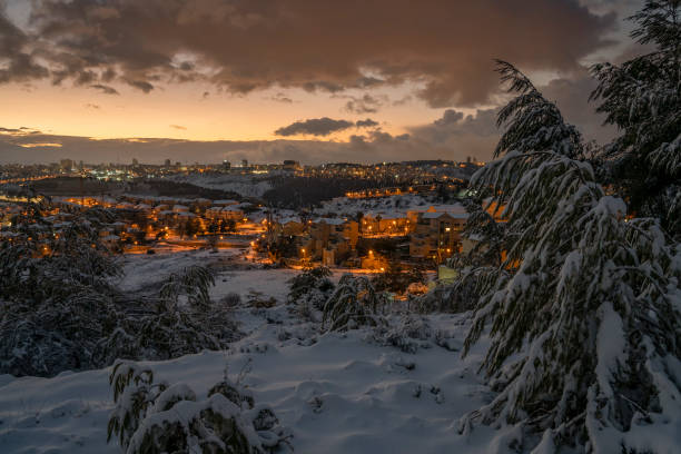 a snowy sunrise over jerusalem, israel - horizon over land israel tree sunrise imagens e fotografias de stock