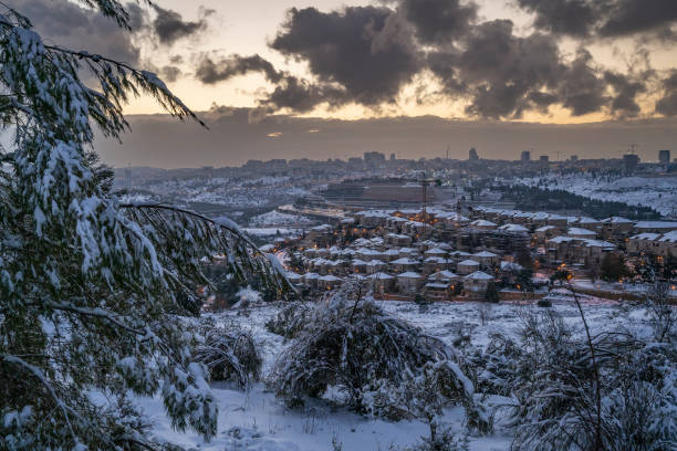 um nascer do sol nevado sobre jerusalém, israel - horizon over land israel tree sunrise - fotografias e filmes do acervo