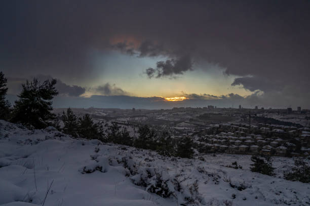 um nascer do sol nevado sobre jerusalém, israel - horizon over land israel tree sunrise - fotografias e filmes do acervo