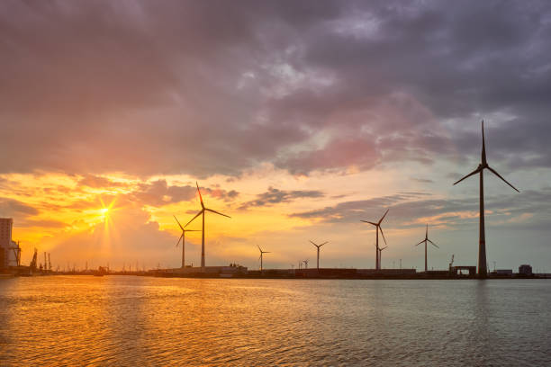istock Wind turbines in Antwerp port on sunset. 1367147336