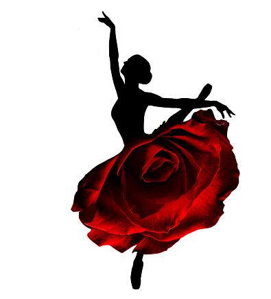 Ballerina Black Silhouette. Ballet Dancer jumping in Tutu Skirt as Red Rose. Graceful Woman Dancing in Creative Fantasy Art Dress as Flower isolated White Studio Background