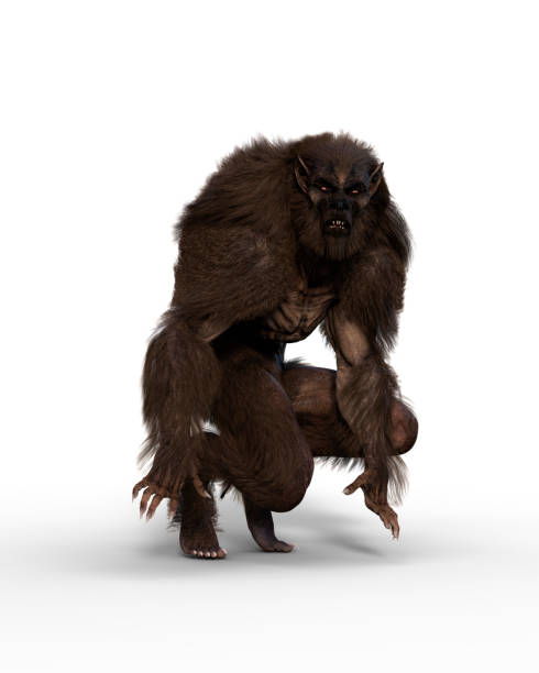 istock 3D illustration of a werewolf in crouching pose isolated on white. 1367149495