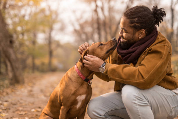 jeune homme afro-américain heureux caressant son chien à l’extérieur dans la nature. - animaux de compagnie photos et images de collection