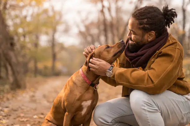 Photo of Happy young African American man petting his dog outdoors in nature.