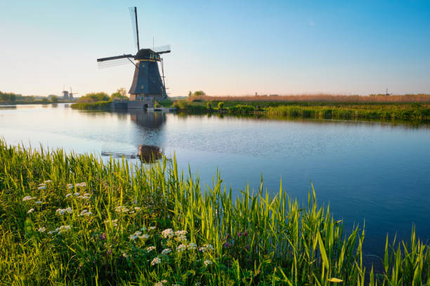 istock Windmills at Kinderdijk in Holland. Netherlands 1367152265