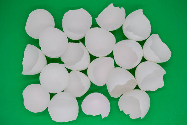istock Lots of broken white eggshells on a green background. Copy space 1367153120